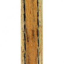 紅雙喜DHS 專業(yè)乒乓底板 勁極5 馬龍技術(shù)1S級底板