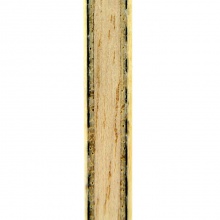 亞薩卡Yasaka 專業(yè)底板  梁靖崑ALC  Alnade