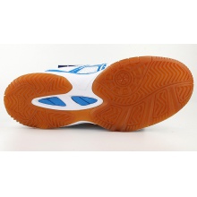 亞瑟士ASICS 專業(yè)乒乓球運動鞋  B000D-0143  清爽白藍