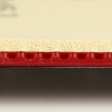 多尼克 COPPA X1 GOLD金裝(12086)