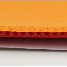 多尼克12087 COPPA X2(PLAT SOFT)軟鉑金