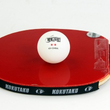 【買(mǎi)10送1】精英乒乓網(wǎng) 新材料ABS 40+ 二星訓(xùn)練乒乓球 100粒裝