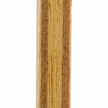 蝴蝶Butterfly 馬祖諾夫（21250/30111）