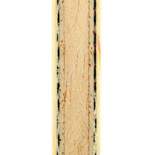 驕猛XIOM時(shí)代帝王 芳碳