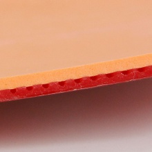 紅雙喜 尼傲NEO 狂飆2 尼奧狂2狂飚二