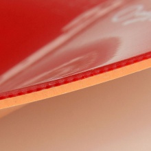 紅雙喜 尼傲NEO天極二