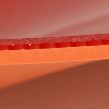 紅雙喜DHS 狂飆8 狂飚8 運海25#海綿