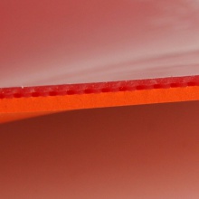 紅雙喜 G888反膠套膠