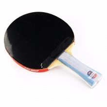 紅雙喜DHS 六星成品拍 雙面反膠 贈紅雙喜拍套