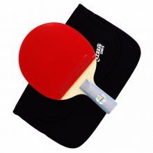 紅雙喜DHS 六星成品拍 雙面反膠 贈紅雙喜拍套