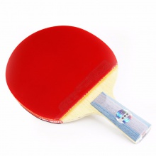 紅雙喜DHS 六星成品拍 雙面反膠 贈紅雙喜拍套