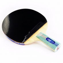 紅雙喜DHS 五星成品拍 雙面反膠 贈拍套