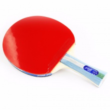 紅雙喜DHS 五星成品拍 雙面反膠 贈拍套