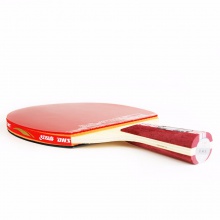 紅雙喜DHS 四星成品拍 雙面反膠