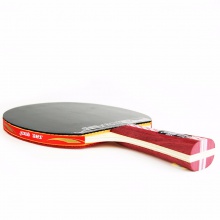 紅雙喜DHS 四星成品拍 雙面反膠