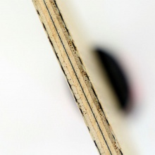 世奧得Sword 新款底板 MYSTERY(MY) 九層新結(jié)構(gòu)