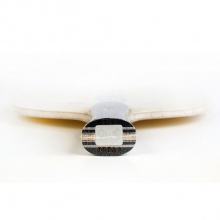 蝴蝶Butterfly 新款兒童專用底板 TIMO BOLL TJ【36941/23980】