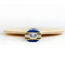 蝴蝶Butterfly 新款兒童專用底板  TIMO BOLL J【36931/23970】