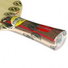 斯帝卡 AE 斯蒂卡專業(yè)底板