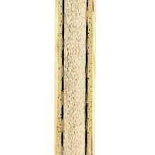 達(dá)克Darker SYNERGY（賽納吉） 新款專業(yè)底板