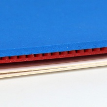 KTL Red Diamond 專業(yè)版紅鉆石藍(lán)海綿（新包裝升級(jí)版）套膠