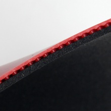 驕猛XIOM VEGA ASIA唯佳速度（紅V）79-009