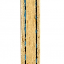 蝴蝶Butterfly 36991/36994/24030 張本智和ALC乒乓球底板