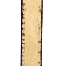 流星Liuxing 天尊系列 TZ18601 五層純木底板