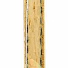 紅雙喜DHS 勁極5X PG5雙芳碳護芯底板