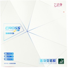 縱橫普及型729套膠