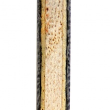 亞薩卡Yasaka 新款底板 競技者SPIN 5木+2層外置纖維