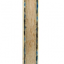 蝴蝶Butterfly 林高遠(yuǎn)ALC（ Lin Gaoyuan ALC）24060/37041/37044 林高遠(yuǎn)用乒乓球底板