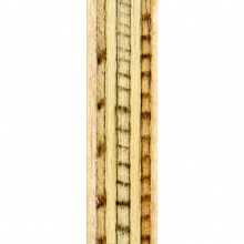 流星Liuxing 專業(yè)乒乓球底板 TZ19303