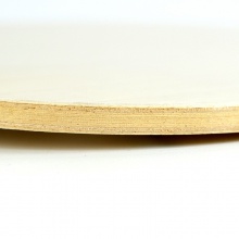 蝴蝶Butterfly XSTAR V（37011/24020） 入門級五層純木底板