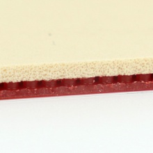 挺拔Tibhar 新量子 X PRO 專業(yè)隊版（紅包裝） 乒乓套膠