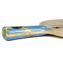 紅雙喜DHS 狂飚龍五light 狂飆龍5輕量型 專業(yè)底板