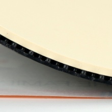 杰沃GEWO 葡萄450 捷沃專業(yè)反膠套膠 質(zhì)子尼奧 Proton Neo 450