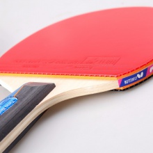 蝴蝶Butterfly TIMO BOLL 3000 蝴蝶乒乓球成品拍 波爾3000 適合全能型打法