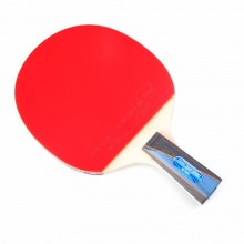 蝴蝶Butterfly TIMO BOLL 3000 蝴蝶乒乓球成品拍 波爾3000 適合全能型打法