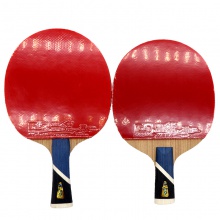 雙魚Doublefish 5A+ 乒乓球成品拍 雙面反膠 5+2內(nèi)置結(jié)構(gòu)