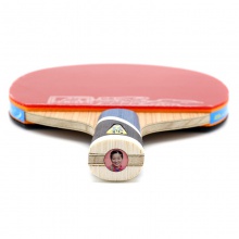 雙魚Doublefish 5A+ 乒乓球成品拍 雙面反膠 5+2內(nèi)置結(jié)構(gòu)