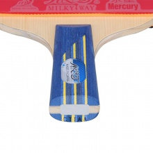 銀河Yinhe 08BD 8星成品拍 初學者練習球拍 雙面反膠