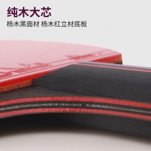 雷神Loki 麒麟4星成品拍 專業(yè)乒乓球拍單拍 體育考試初學(xué)者 學(xué)生用拍 K4