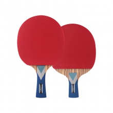 雷神Loki 銳龍6星成品拍 乒乓球拍單拍 學(xué)生訓(xùn)練初學(xué)者 5+2內(nèi)置底板