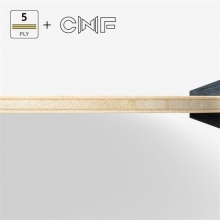 蝴蝶Butterfly【37231|37234|24190】樊振東 CNF 專業(yè)乒乓底板