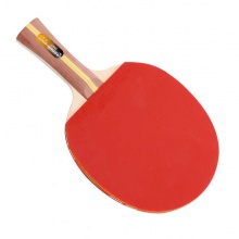 紅雙喜DHS H2星 成品拍 訓(xùn)練入門成品拍