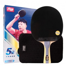 紅雙喜DHS H5星 成品拍 訓(xùn)練入門成品拍