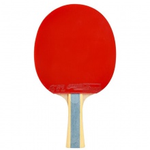 紅雙喜DHS H6星 成品拍 訓練入門成品拍