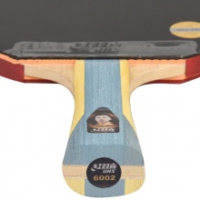 紅雙喜DHS H6星 成品拍 訓練入門成品拍