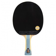 紅雙喜DHS H6星 成品拍 訓練入門成品拍